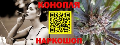 мдпв Славгород